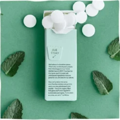 True-Mints Kräuterbonbons Frische Minze, Zuckerfrei, Je 13g, 18 Pack -Bredemeijer Geschaft 99c94c30a517378ebbbfc165613b0c20c0c15d9f kraeuterbonbons true mints frische minze